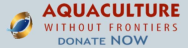 AwF 'Donate NOW' logo button