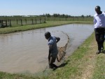 Aquaculture Kenya