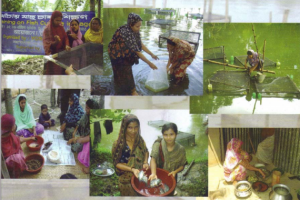 PROJECT FOR RURAL WOMEN IN BANGLADESH